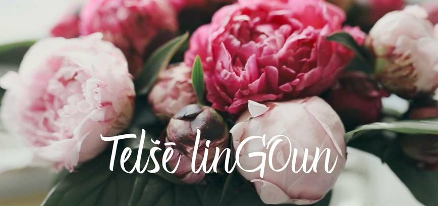 Telšių miesto šventė 2024