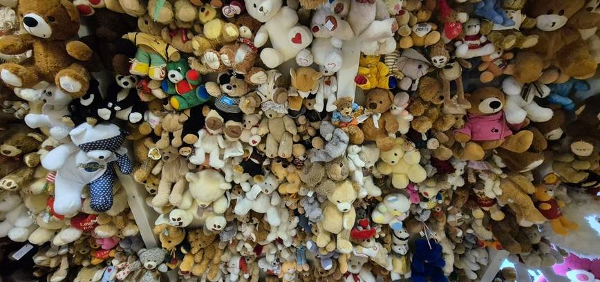 Iš tūkstančių meškų gyvenimo 