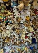 Iš tūkstančių meškų gyvenimo 