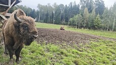 IMG_20260918_104027.jpg