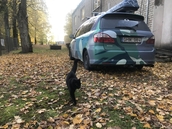 IMG_8980.jpeg