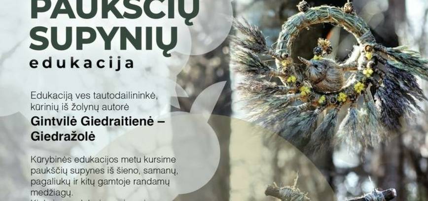 Творческое обучение с помощью «Птичьих качелей»