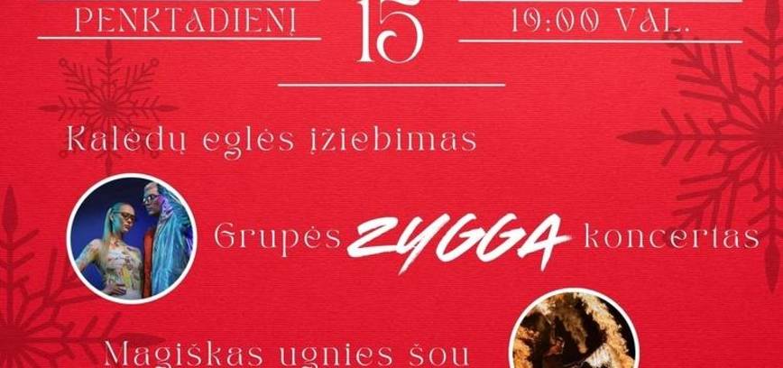 Weihnachtsbaumbeleuchtungsfest in Viešvėnai