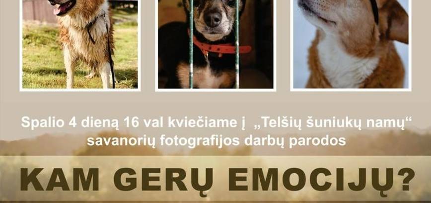 KAM GERŲ EMOCIJŲ?