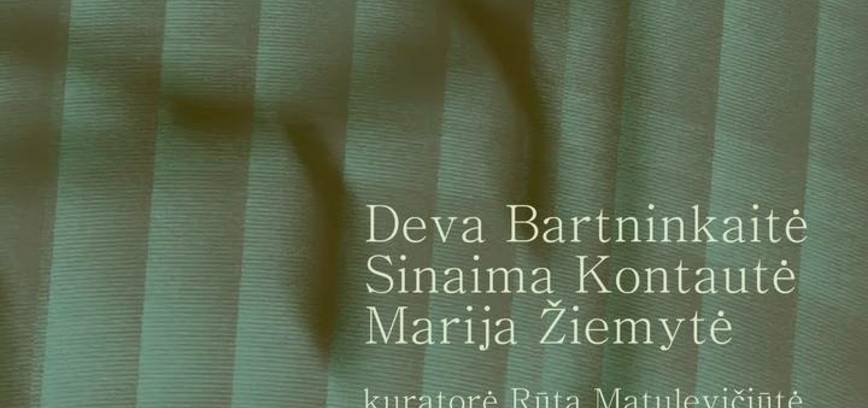 Parodos „Zoetropas” atidarymas