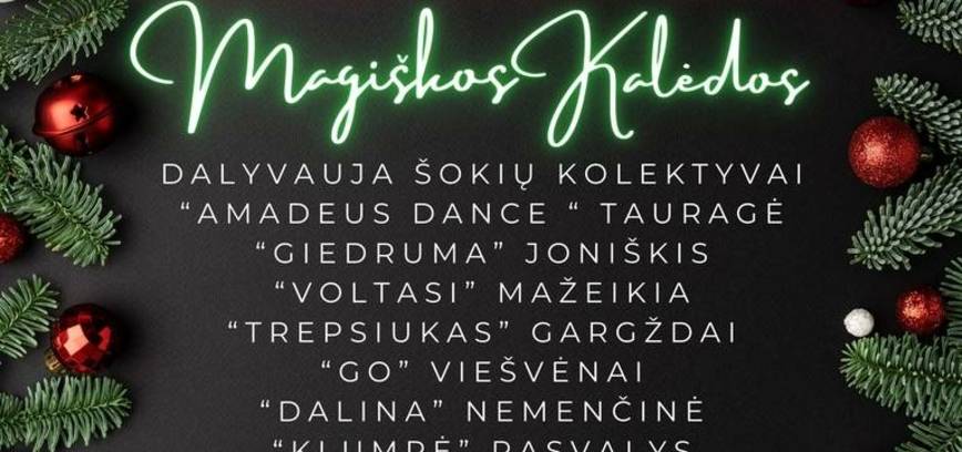 Tanzfestival im Kulturzentrum Viešvėnai