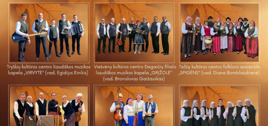 Tarptautinė liaudiškos muzikos ir šokių šventė 
