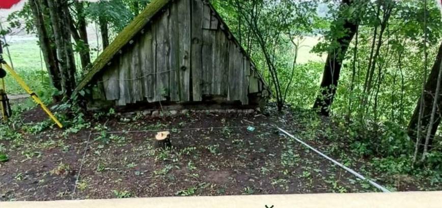 The march for the restoration of independence - In the name of that Lithuania!