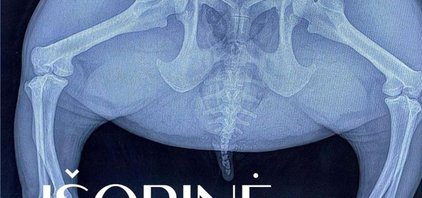 Australian medical designer Girias Antanaitis lecture 