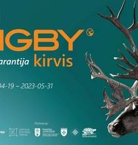 Izstāde. Lyngby cirvis: 13 000 gadu garantija