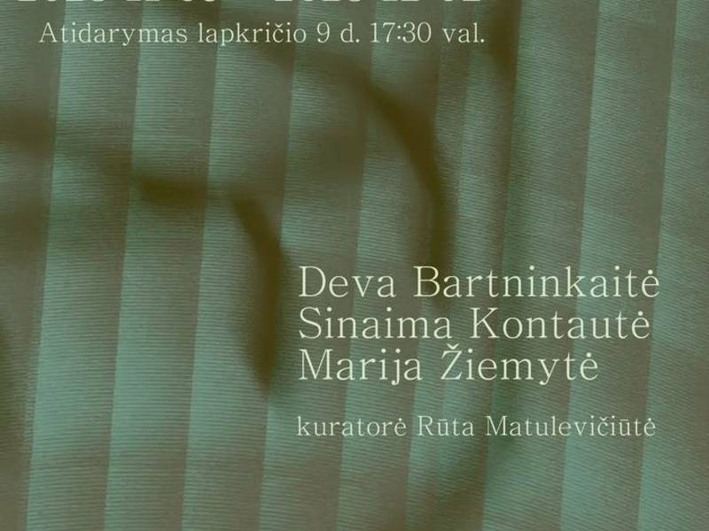 Parodos „Zoetropas” atidarymas