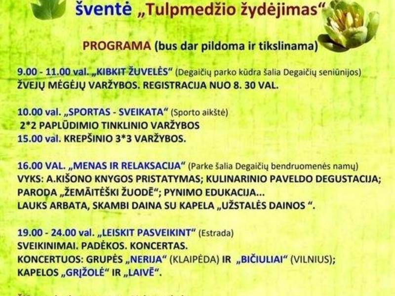 Tulip blossoming festival in Degaičiai