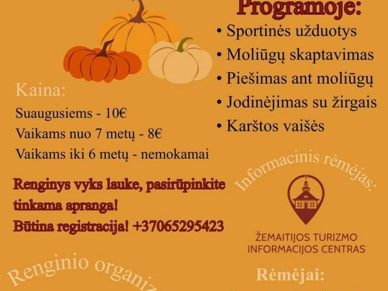Pumpkin sports games