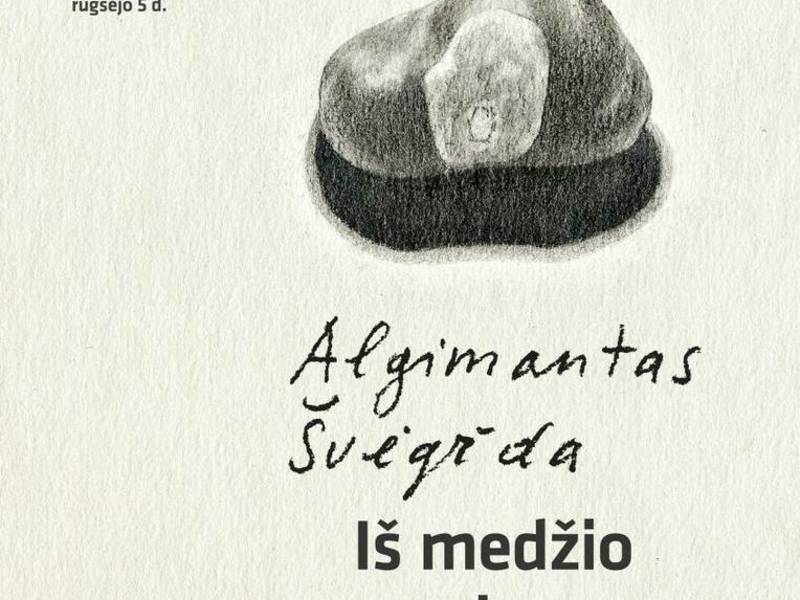 Exhibition Algimantas Švėgždas "From the life of a tree"