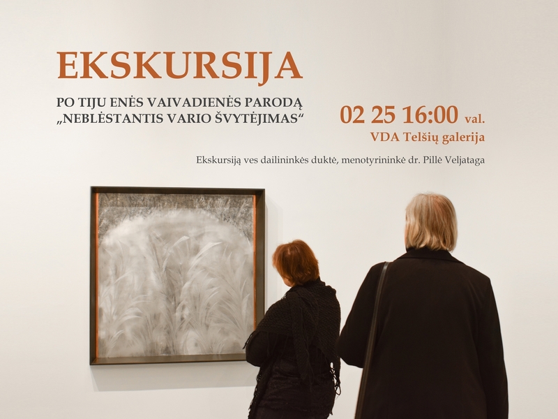 Tiju Enes Vaivadienes izstāde "Nezūdošs vara mirdzums",