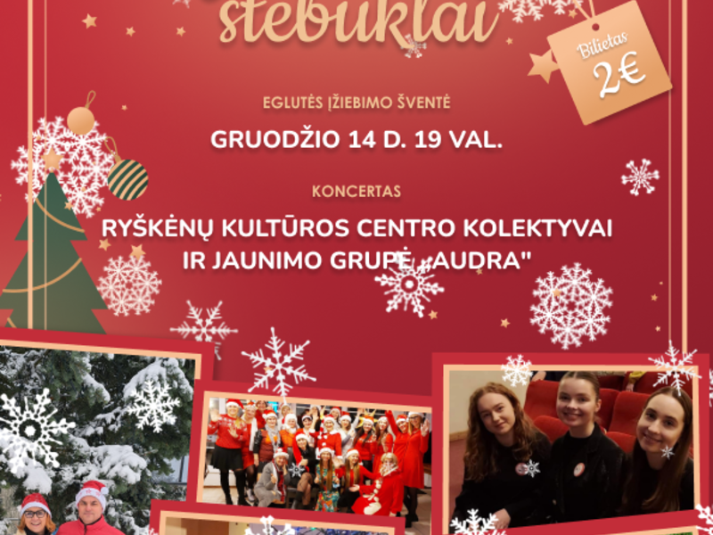 „Kalėdiniai stebuklai“ eglutės įžiebimo šventė