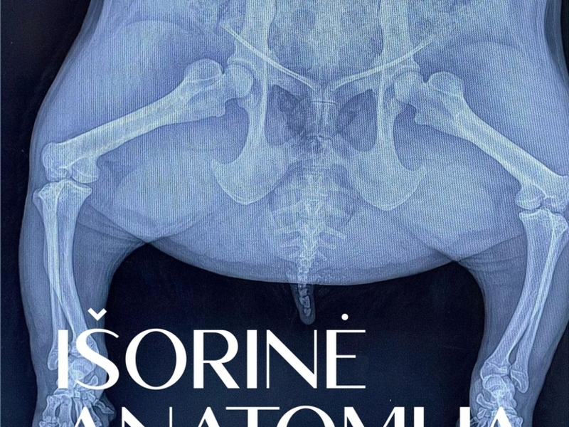 Austrālijas medicīnas dizainera Giriasa Antanaiša lekcija "Ārējā anatomija".