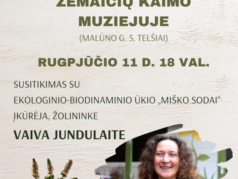 Die Magie der Kräuter