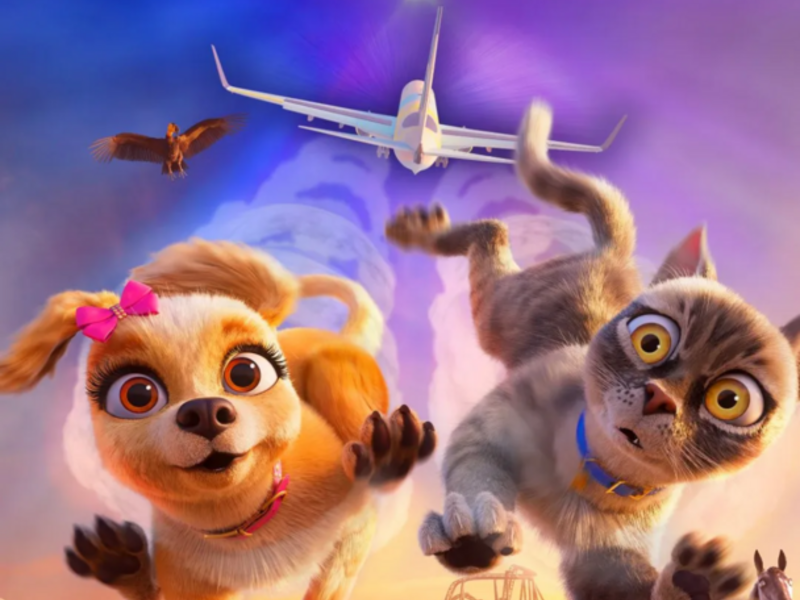 Filma "Naughty Paws: Lost Pets"